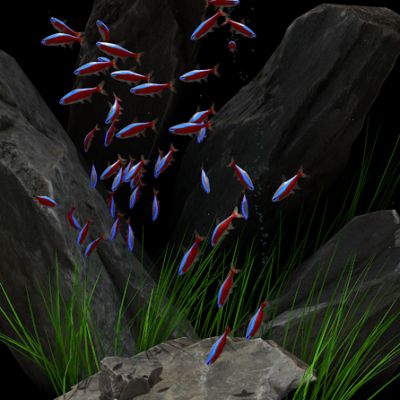 dream aquarium windows 10 reviews dream aquarium windows 10 reviews