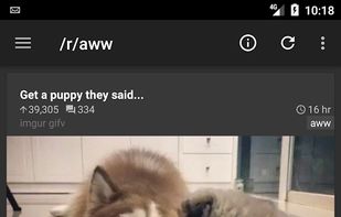 rif is fun screenshot 3