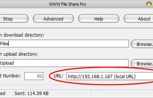 Step 3: Visit the URL with an internet browser to download or upload files.