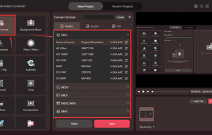 DumpMedia Video Converter screenshot 1