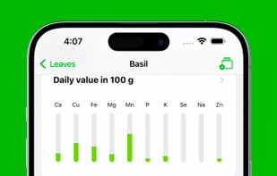 Fooodpedia screenshot 2