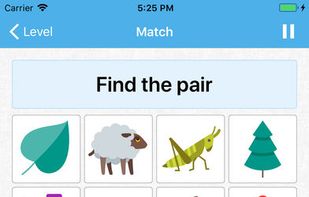 Brainilis screenshot 3