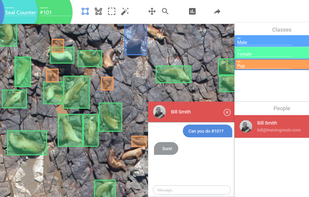 Document View with chat and section labelled.