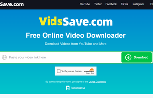 VidsSave screenshot 1