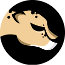 wBrain Slice icon