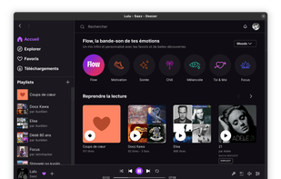 Deezer for Linux screenshot 1