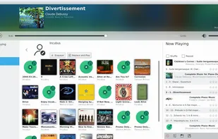 Elisa Albums from an Artist View