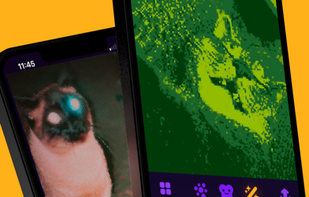 Photoaster screenshot 2