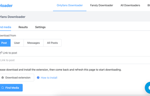 Anyloader screenshot 1