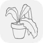 Gobuster icon