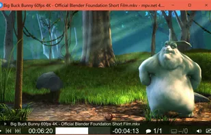 mpv.net screenshot 1