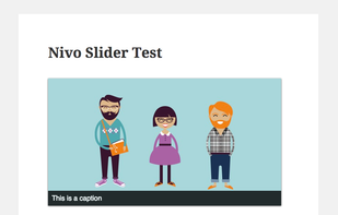 Nivo Slider screenshot 3