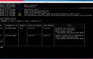 Demo: Vulnerability detection