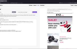 Working on brief to generate a newsletter variant.