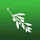 Olive Video Editor icon