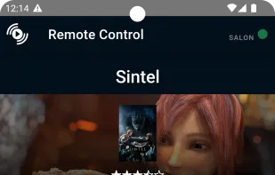 StreamShare screenshot 2