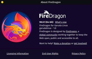 FireDragon screenshot 2