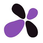 Xoralia policy management icon