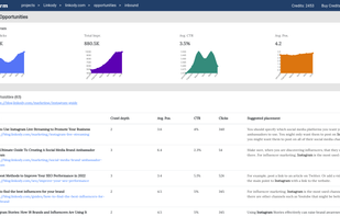 Internal Link Opportunities