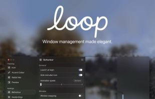 Loop - Window Management screenshot 1