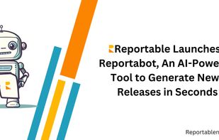 Reportabot screenshot 1