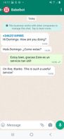 BabelBot screenshot 1