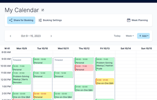 Calendar view with already booked appointments within timeslots