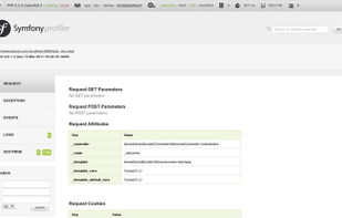 Symfony Profiler
