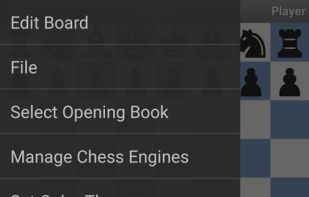 DroidFish Chess screenshot 2