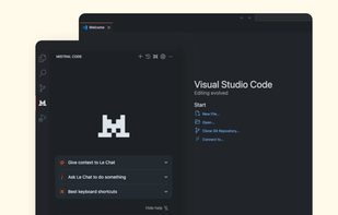 Mistral Code screenshot 1