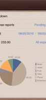 Pro Expenses - Expense records screenshot 3