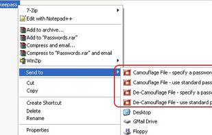 Free File Camouflage screenshot 2