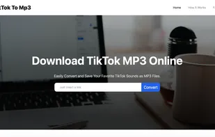 TikTok To MP3 screenshot 1