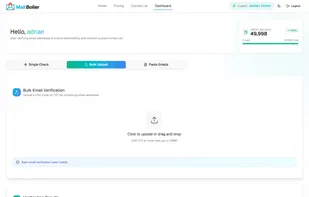 Dashboard bulk Email verification