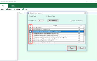 Softmagnat Microsoft Excel Recovery Tool screenshot 1