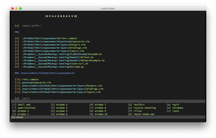 SpaceNeovim screenshot 1