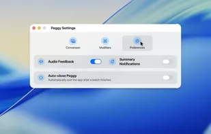 Peggy Converter screenshot 2