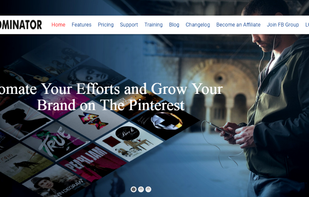 PinDominator screenshot 1