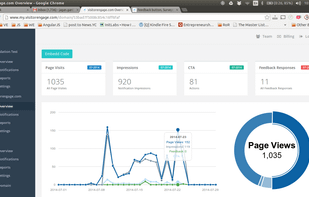 VisitorEngage dashboard