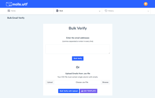 Bulk Email Verify Page