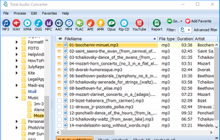 CoolUtils Total Audio Converter screenshot 1