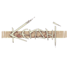 Kenshi icon