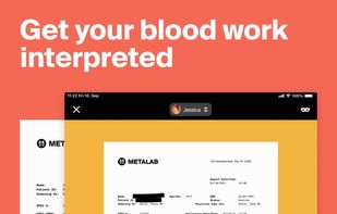 Ornament screenshot 2