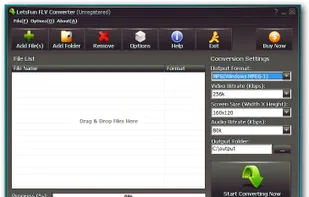 LetsFun FLV Converter screenshot 1