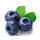 Myrtille icon