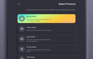 Bear VPN screenshot 1