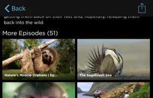 THIRTEEN screenshot 2