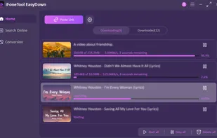 EasyDown screenshot 3