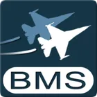 Falcon BMS icon