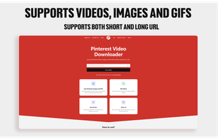 Pinterest Downloader Professional and fully User Friendly Homepage